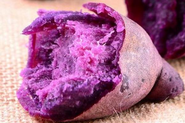 紫薯一斤多少钱？分析紫薯种植前景